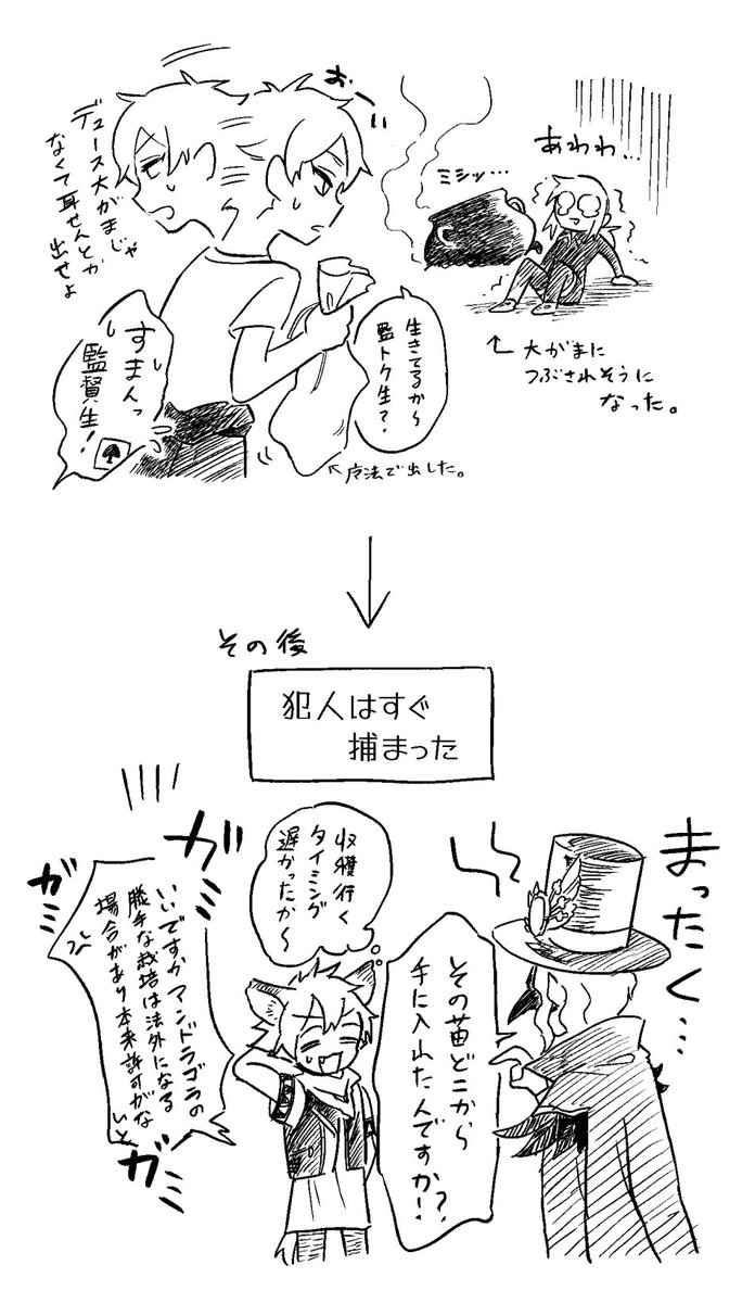 寮の有効活用について考える監督生 の、
こんな漫画が描きたかったというらくがき
(1年`s+α)

#twstプラス 