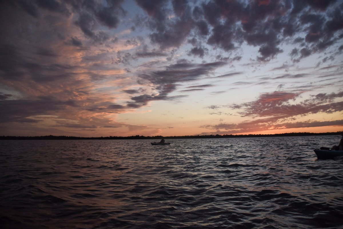 RisingTideFL's tweet photo. Reset with a beautiful sunset on one of our boat or kayak tours!
#RisingTideFL #kayaksunset #TGIF #kayaking #naples #MarcoIsland #BiologistGuides #science #LoveFl #explore #paradisecoast https://t.co/CrvKhwBVK3