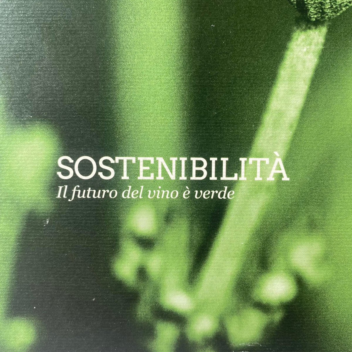 Bio è sempre meglio?
Ce lo chiediamo nel nuovo numero di Vinetia Magazine, che puoi acquistare qui: store.aisveneto.it/product/215187…