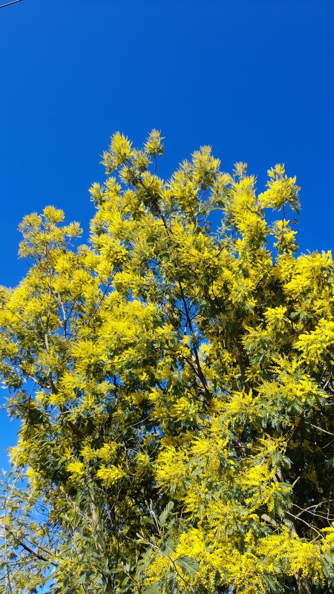 Là on est en février ! #pessac