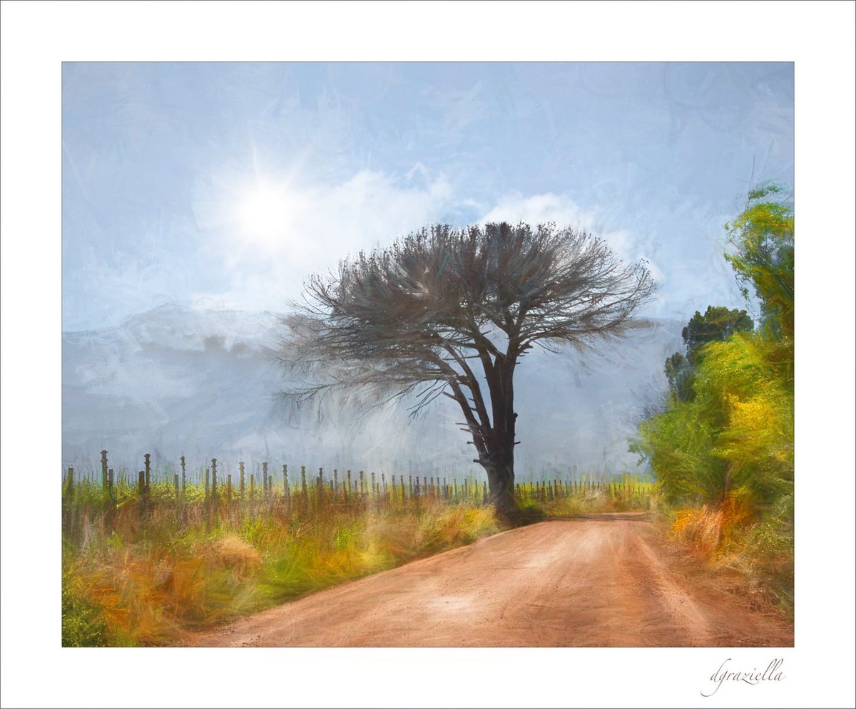 anarchyllect's tweet photo. Lone Tree
Author: Daniela 59
https://t.co/kH5Bd3KBfJ
#art #photography #sliderssunday https://t.co/YnskrsNylc