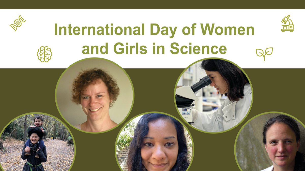 Today we're celebrating #InternationalDayofWomenandGirlsinScience Here are just some examples of our female academics and the outstanding work that they do