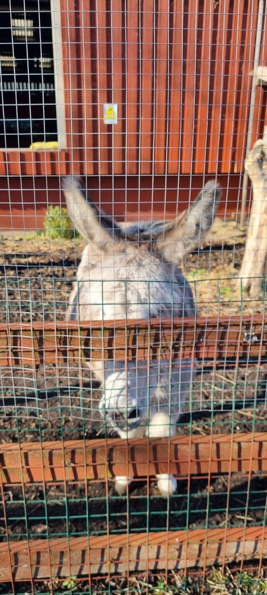 Out on foot patrol on the Scrubs with <a href="/MPSWhiteCity/">WhiteCity</a> earlier, always nice when our residents come and say hello!