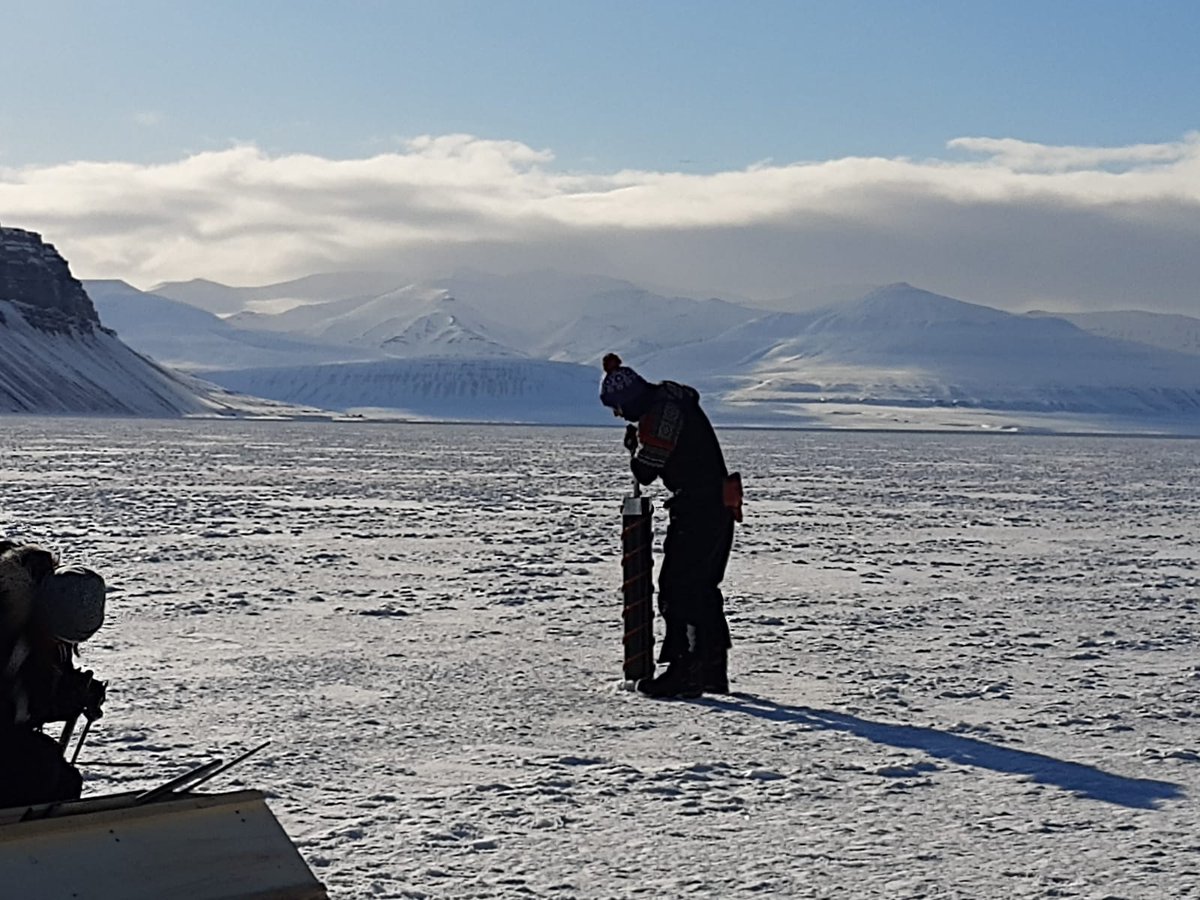 OceanSeaIceNPI's tweet photo. The underside of the sea ice is home to many photosynthetic organisms living in the harsh polar environment. An underwater hyperspectral imager, an advanced camera system, can be used to investigate these algae. Read more here: https://t.co/zmjFN6PnvB https://t.co/gzSTmU5pzP