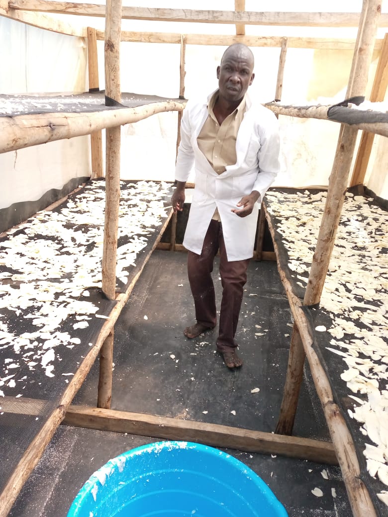 civskenya's tweet image. It is now harvesting time for our #Cassava farmers. Fresh roots and processed products like chips and flour are available in our main storage house in Kisumu. Visit our Resource Centers in Kisumu or contact us to place an order. Thanks to our partner @landsaidev
#FoodSecurity