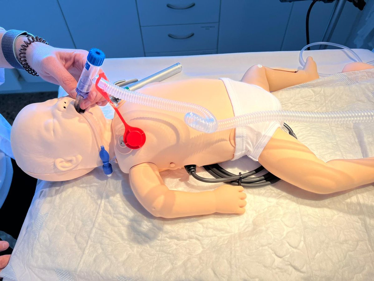 GVAsagunt's tweet photo. 🩺El Servicio de Pediatría del @GVAsagunt imparte el curso de #RCPNeonatal para disminuir la muerte en recién nacidos.
El curso se ha impartido a 32 profesionales sanitarios con el fin de mejorar la atención neonatal
#formacion https://t.co/KJuTMqPMbz