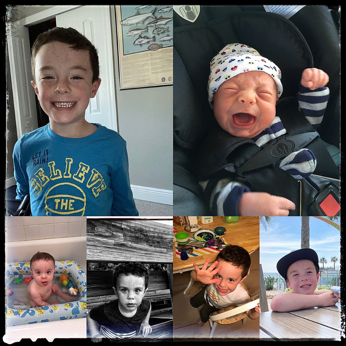 Matt Mercurio tweet media