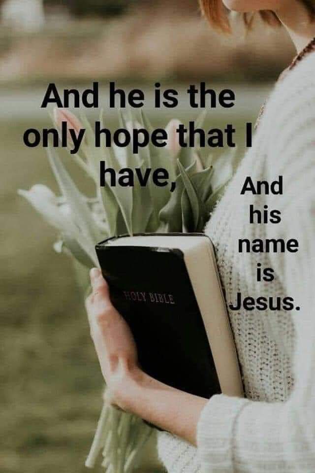 markcollier733's tweet image. 