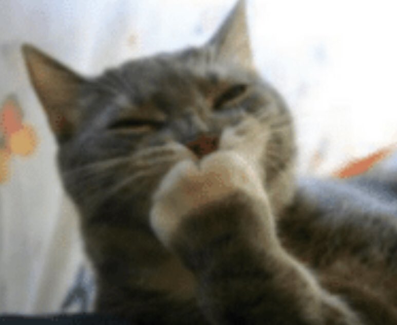karlcatboy's tweet photo. no i didnt retweet a tweet on the wrong account you saw nothing !! LOL https://t.co/E4jfmjwvus