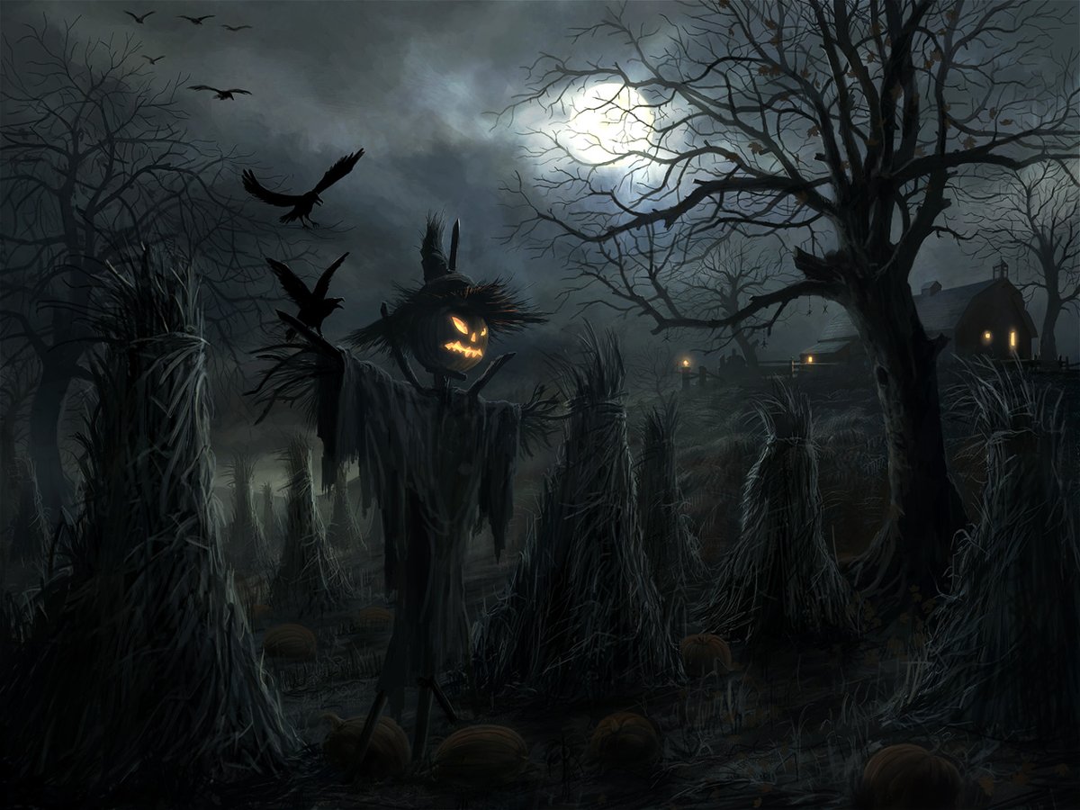 NosCalanGaeaf's tweet image. ONLY 235 DAYS UNTIL HALLOWEEN 2022!
ARE YOU READY???
🎃🕸️🎃👻🎃🦇🎃🕸️🎃👻🎃🦇
#Halloween #Halloween2022