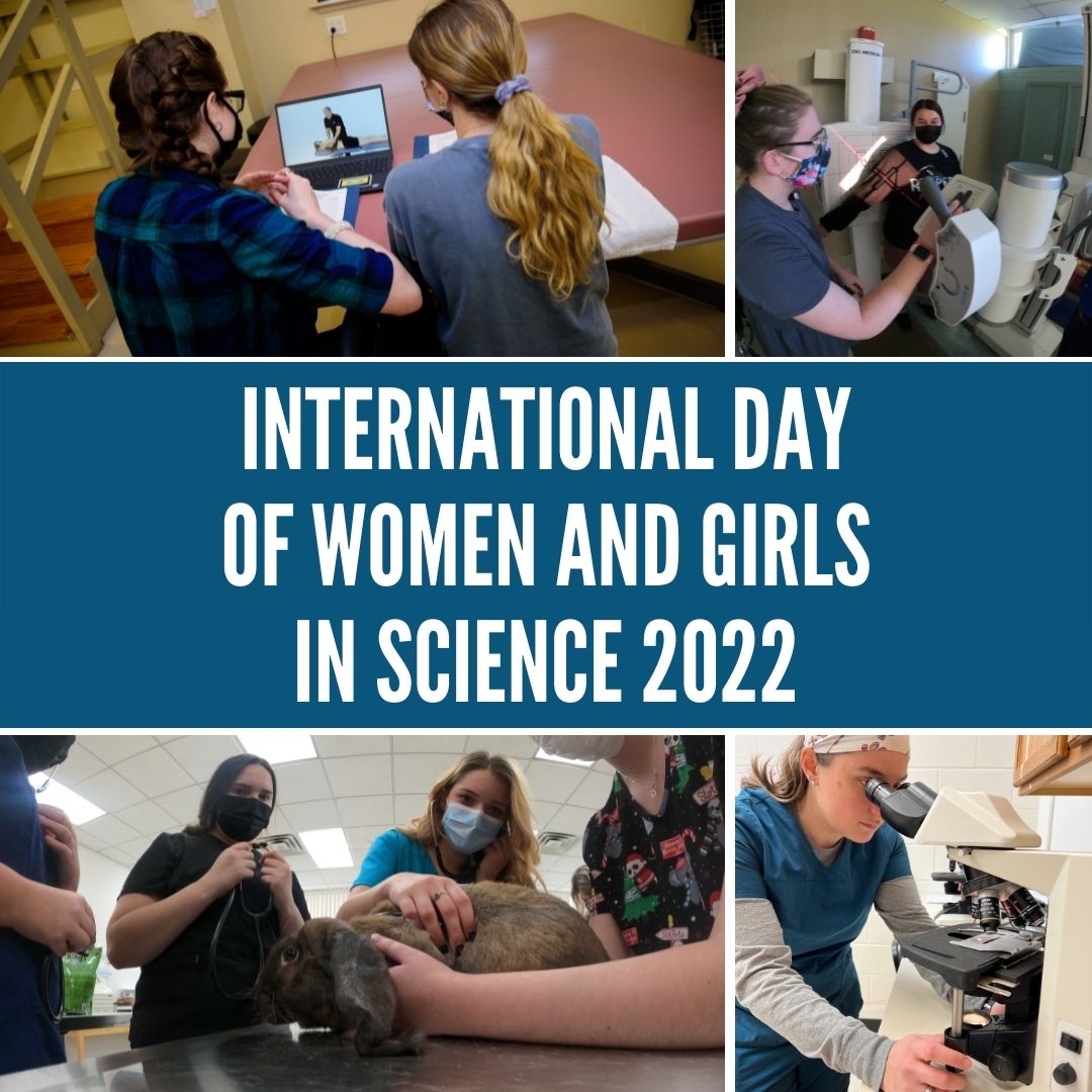 On this International Day of Women and Girls in Science 2022, all of us here at Johnson College celebrate our students, alumni, faculty, staff, and every woman and girl who participates and works in and shares their passion for science. @un_women  #WeWork #womeninscience