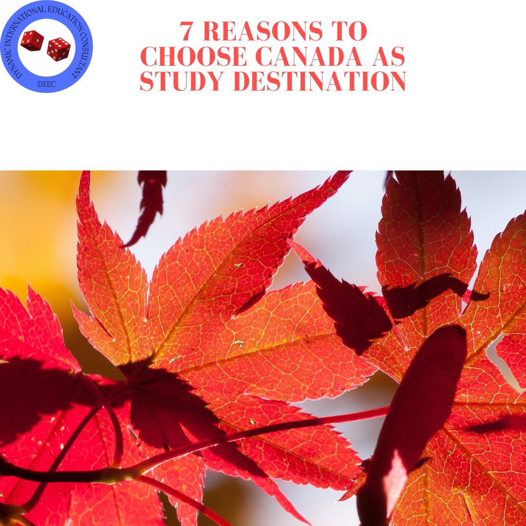 Dynamicinterna3's tweet image. As Canada tops the list as the most educated country in the world, here is a list of reasons to choose Canada as your preferred study destination 🎗️

To read the complete list of benefits, visit the website in the bio.
#whychoose #canada #studyabroaddestination #studyoverseas