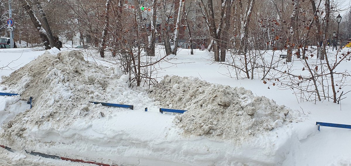 Алексей Сорокин tweet media