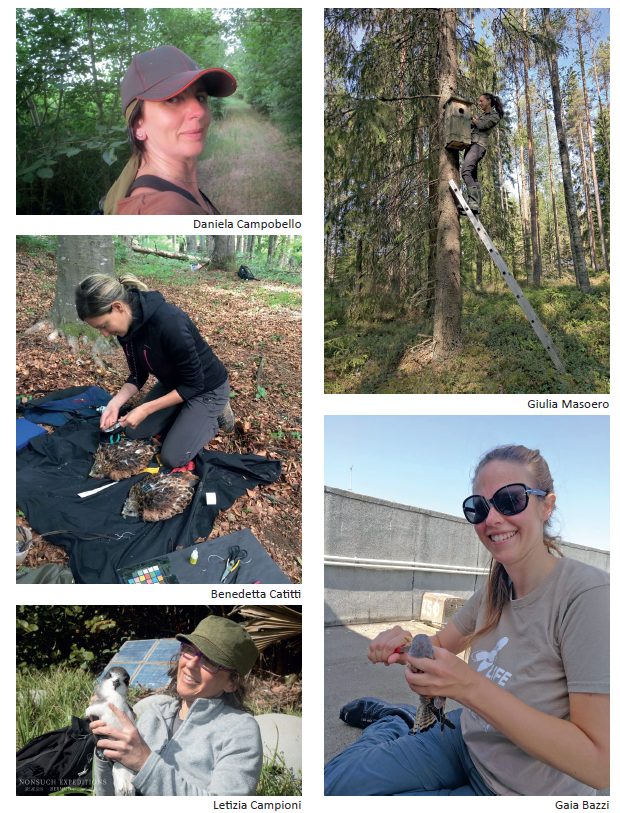 #Avocetta would like to take part in the celebration of the International Day of Women and Girls in #Science by proposing an interesting editorial published in the Journal: issue 45(1) 2021 avocetta.org/articles/vol-e…... with a special focus on women in #ornithology