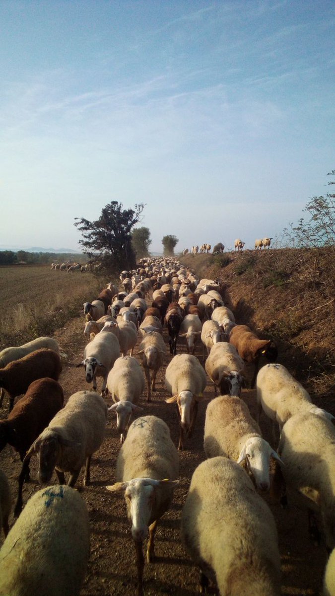 Repoblem tweet media