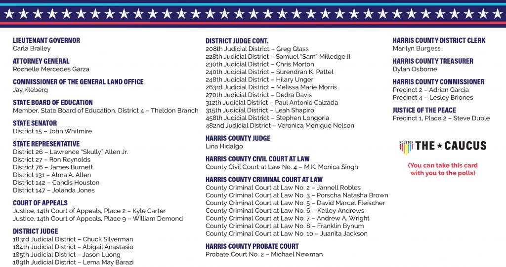 otnnamadim's tweet photo. Also, early voting in Harris County starts on Monday! Here’s a list of the endorsed progressive candidates!

Shout out to @HLGBTQCaucus ! https://t.co/ZGWwdGb48p