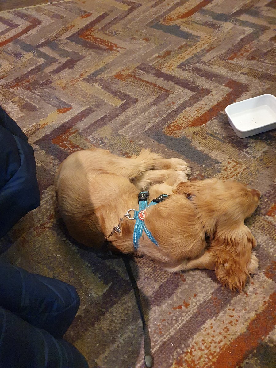 Paul Cummins tweet media