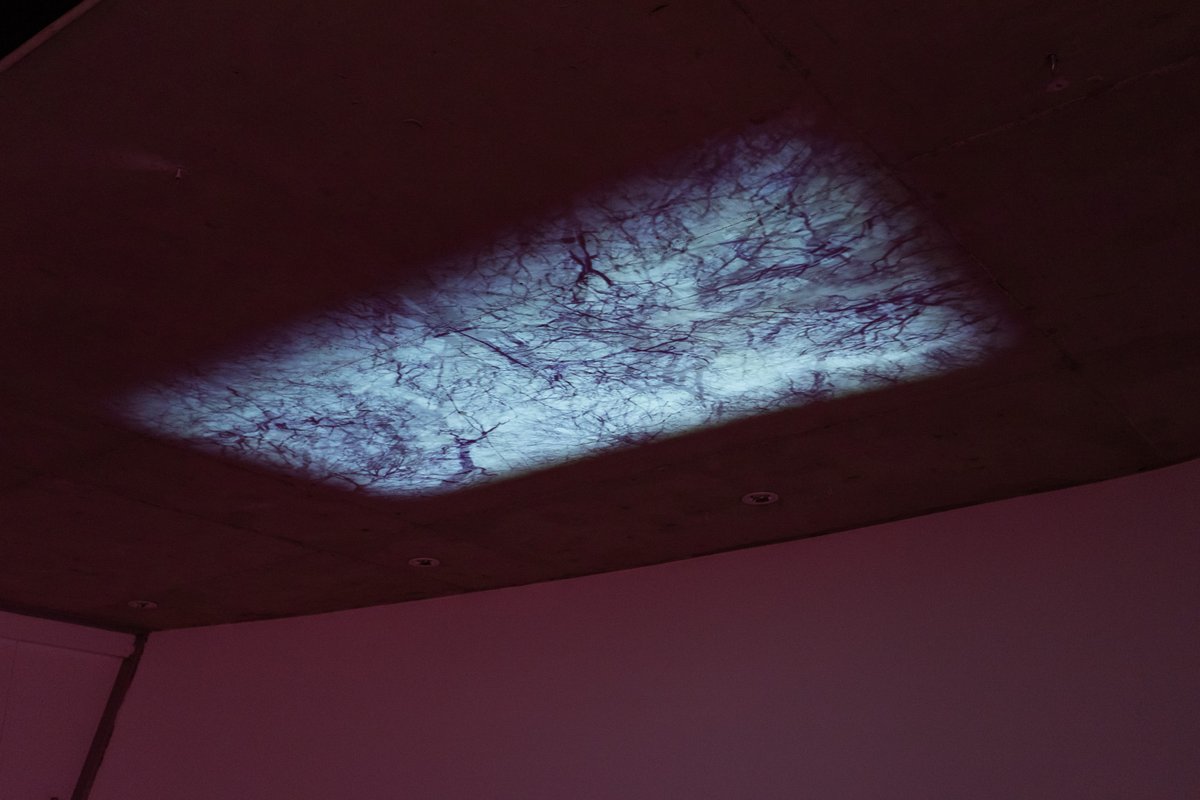 site_gallery's tweet photo. Experience the #Platform21 exhibition this weekend at Site, @blocprojects and @yartspace ✨
Multi-site show featuring artwork from 5 local artists part of the @FreelandsF Artist Programme. Open until 20 February.
Free entry, find out more → https://t.co/HUyS1DKoDD https://t.co/b89t6Y3Q0i