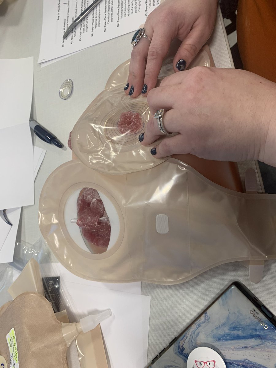 Our new stoma models arrived and contributed to another successful Bridge Week experience for our students. #emorynursingknows #wocnursing