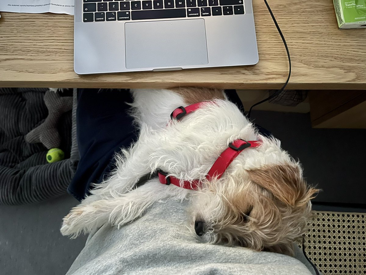 Piotr Jamrogiewicz tweet media