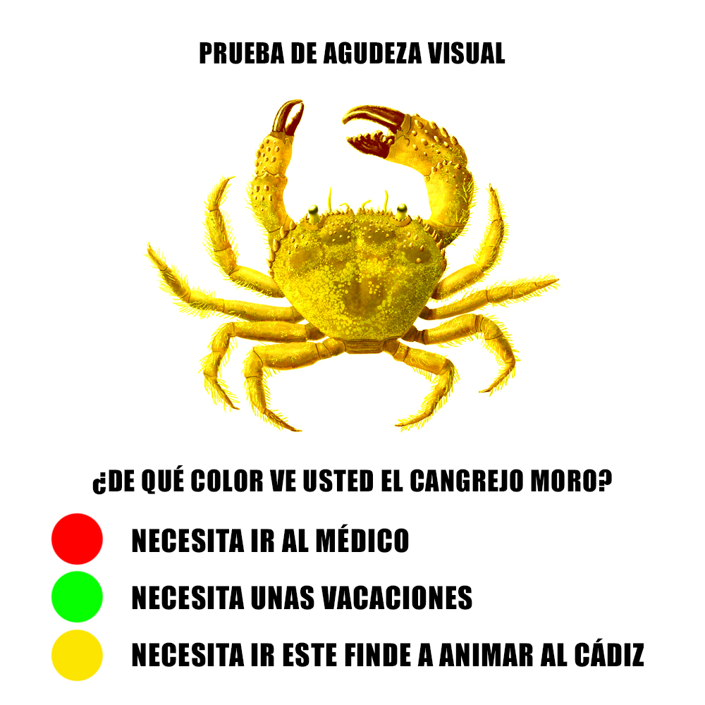 Cádiz Club de Fútbol tweet media