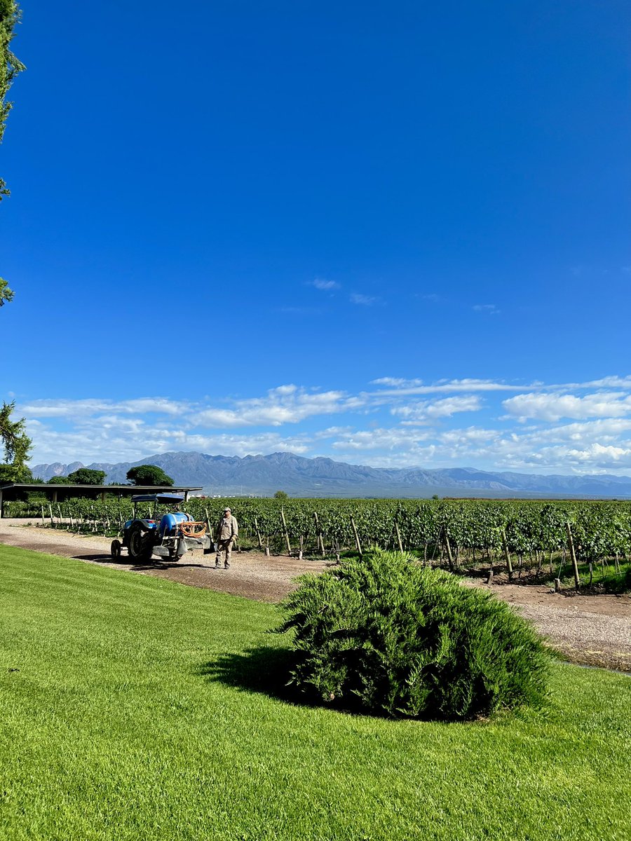 La vista de todos los días 🍷