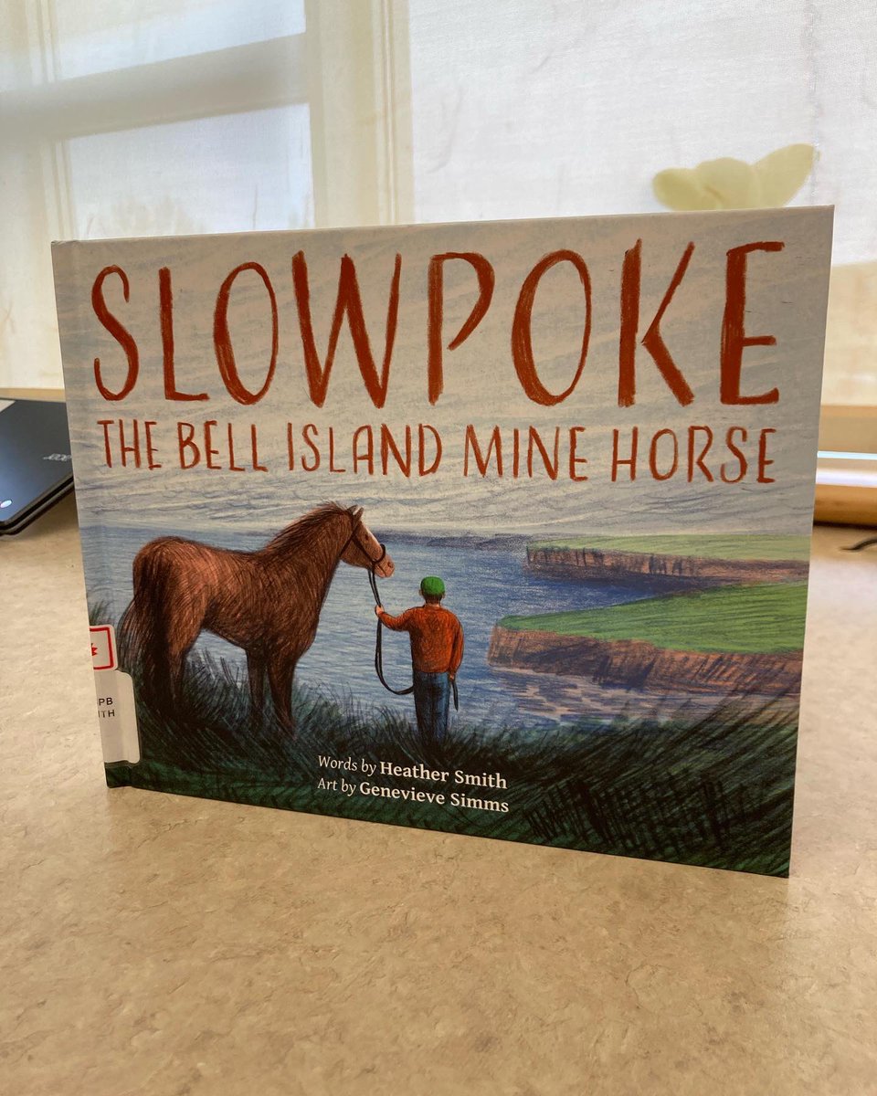 LibrarySue tweet media