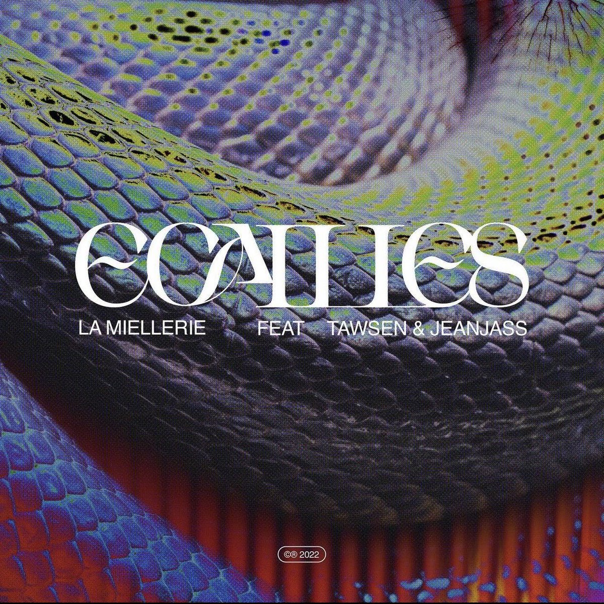 Boul1peu tweet media