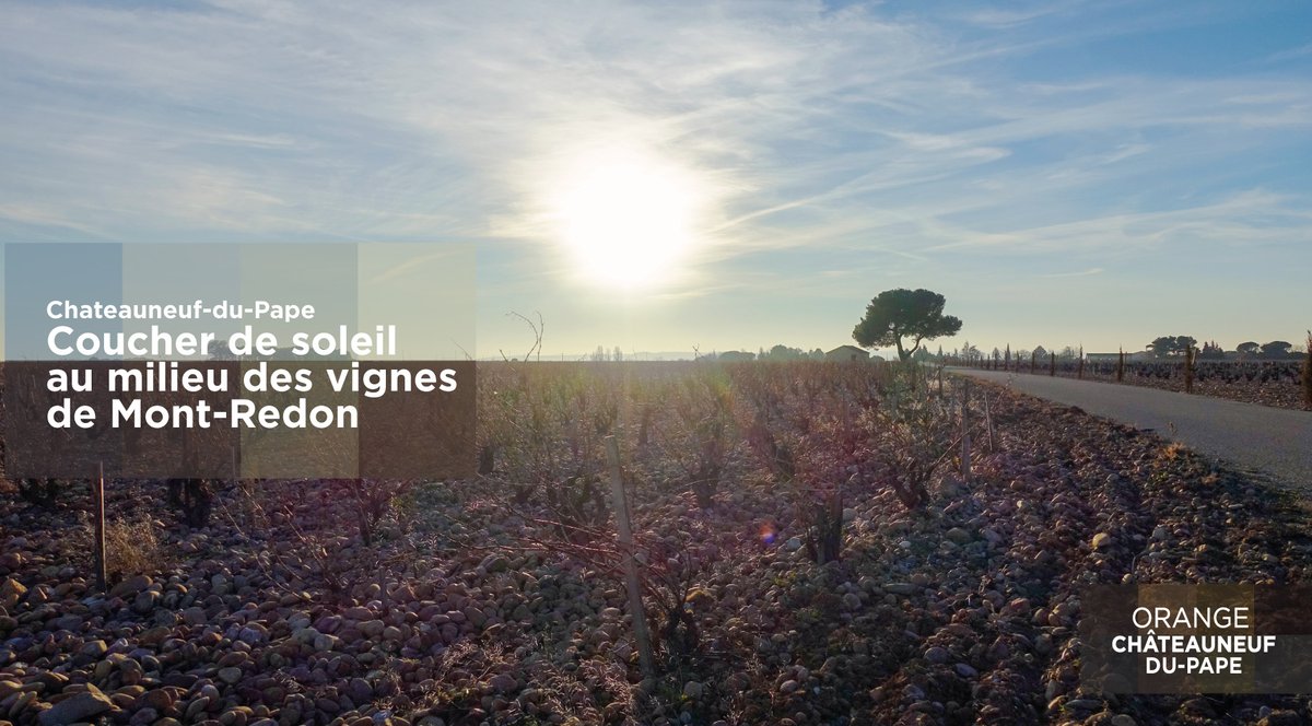 Châteauneuf Tourisme tweet media