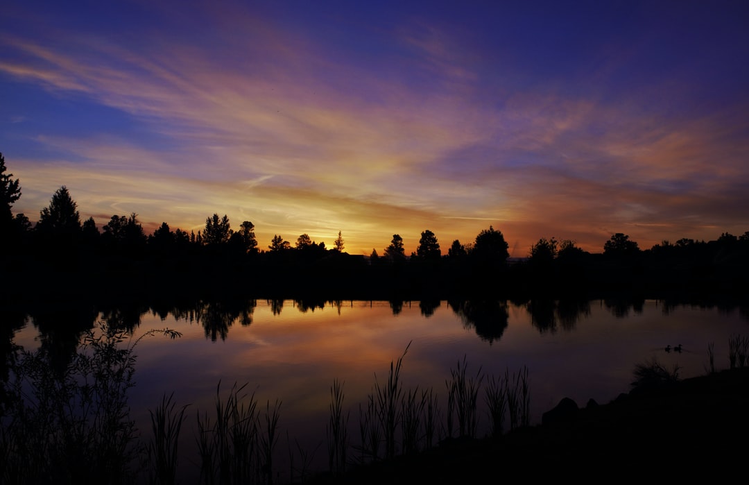 anarchyllect's tweet photo. Author: Rick Medlen
https://t.co/OiX58HWsaw
#water #art #photography #nftart #nft #sunset #dusk #dawn https://t.co/ByhiykDWKK