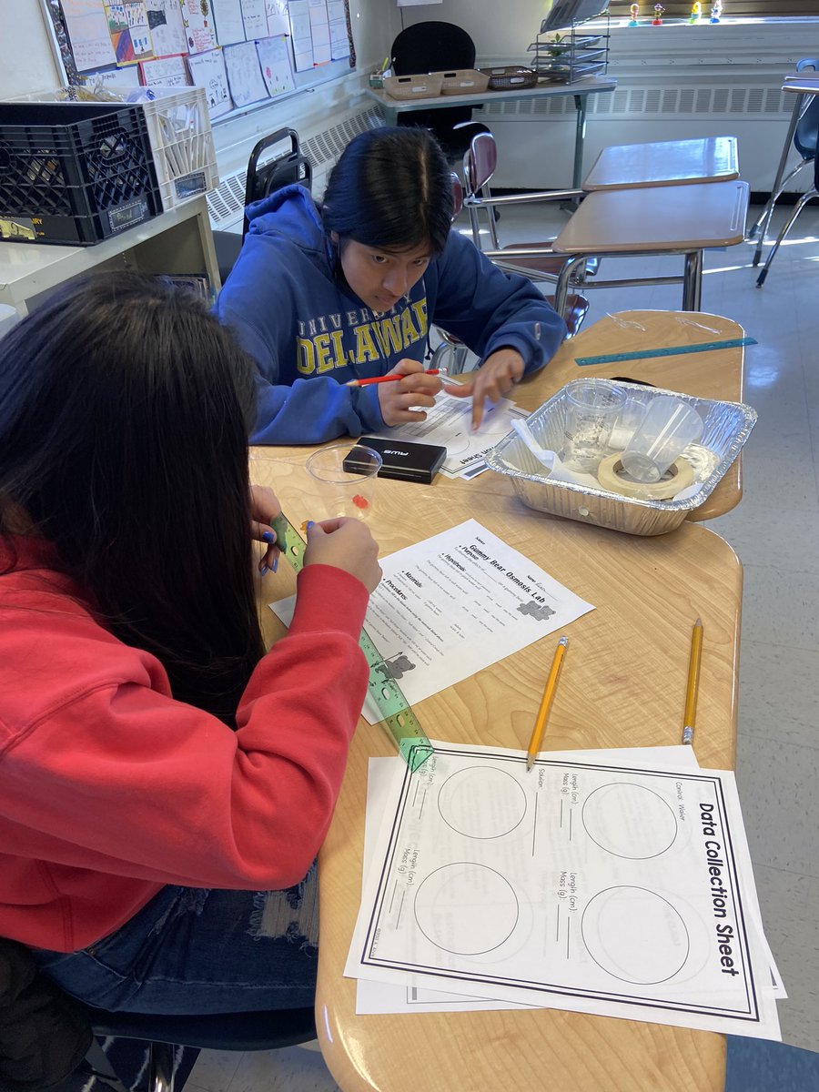 christinaAPMS's tweet photo. Ss use the metric system to explore the effects of osmosis on gummy bears 🐻 🍬 @Asbury_ParkSD #SCIENTIST https://t.co/mZl4FW4SlE