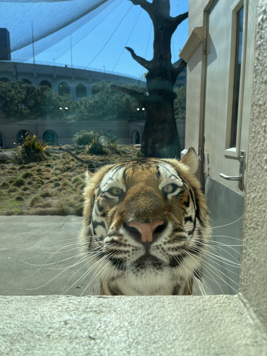 Whatcha doing in there?