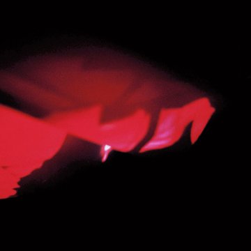 Sweaty Palms tweet media