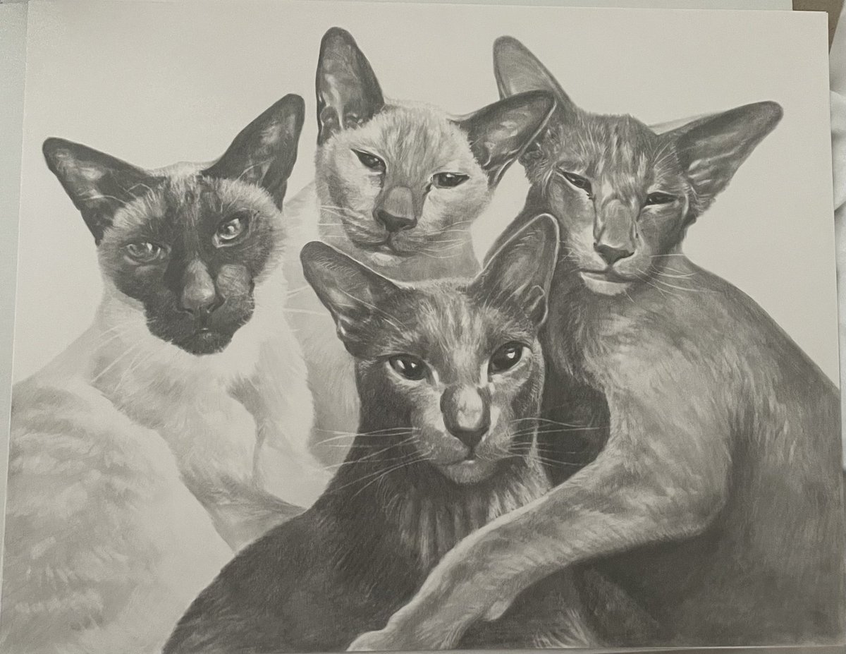 The Dalí Gatsby tweet media