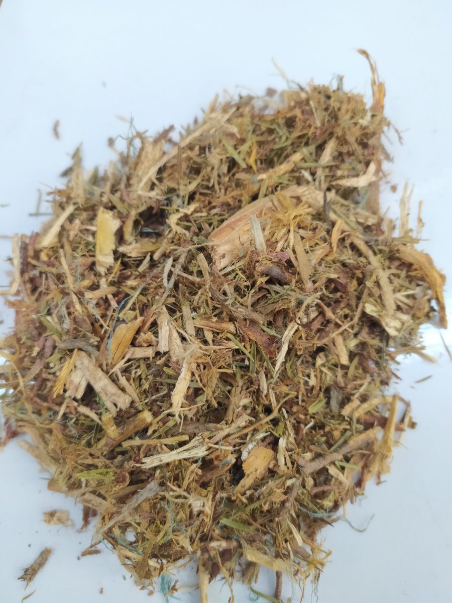 BeonNAT_H2020's tweet photo. In the #BeonNATproject, we have been working on the #distillation of Juniperus communis bales after their storage during 6 months (outdoors and indoors).
#biobased #CBE #H2020 https://t.co/tyb6yqRwy8