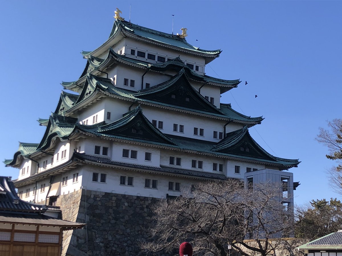 KaeAli's tweet photo. 名古屋城のでっかさに唸り、栄で卓球を楽しみ、どこかで見たようなスポットを訪れ、名古屋の街を満喫しました。

日が落ちて、今夜は前夜祭だ！(⌒▽⌒)
明日、ちゃんと起きてバンテリンドームに行けるくらいで……( ๑˃̵ᴗ˂̵;) https://t.co/gYNLf3uNYx
