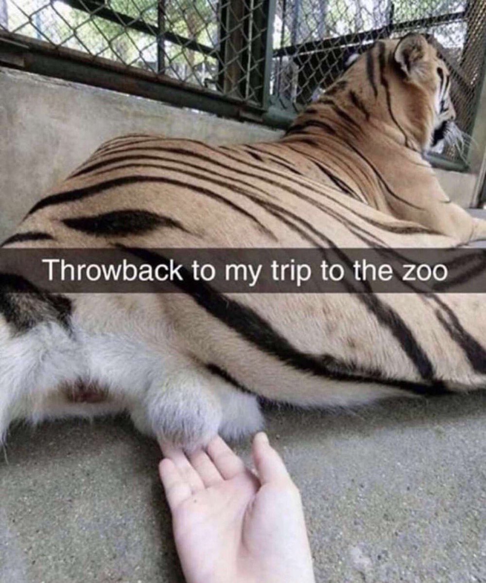 Chrisaviless's tweet photo. @mattthedunlap me and the boys finna hit the zoo this saturday #nelktime https://t.co/nHkvjXOkXE