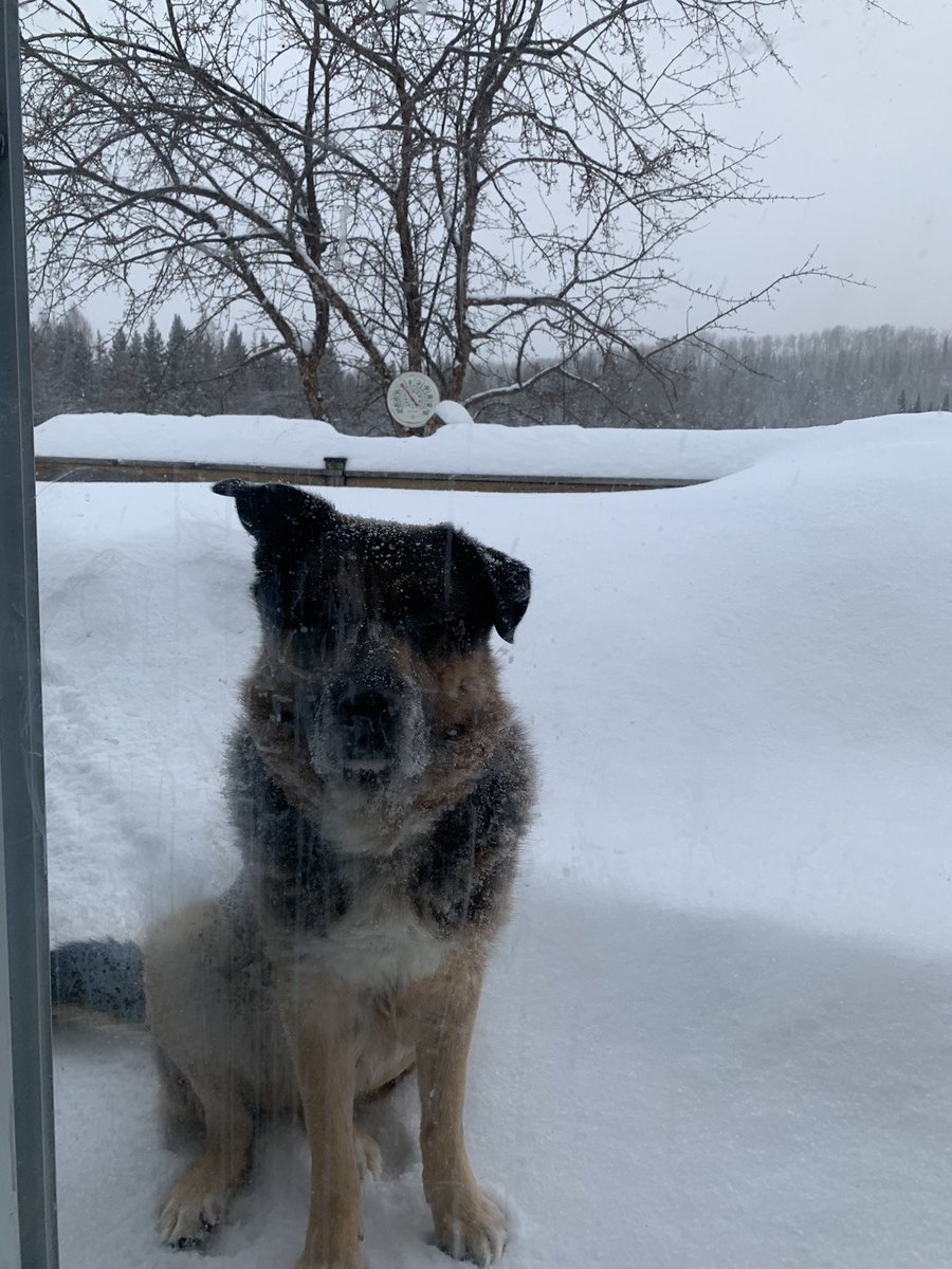 Arlene 🐥 King tweet media