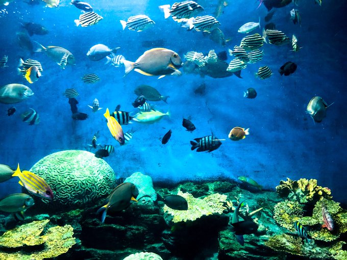 Twitterのコスプレ画像40