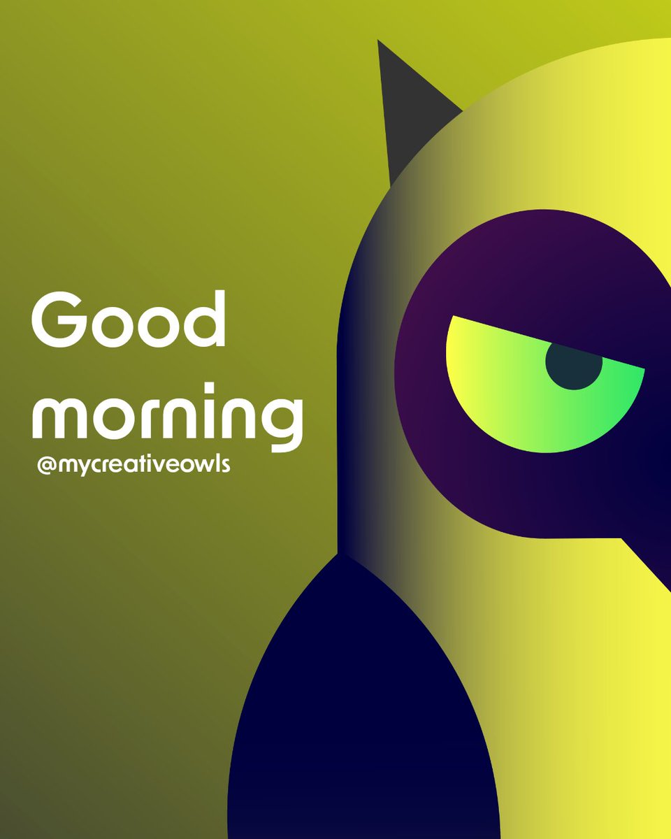 Creative Owls 🫟 tweet media
