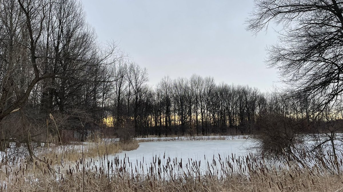 AjmaniK's tweet photo. Nature’s heart — doing what it does best — during a winter sunrise
#SpiritChat #walking140 https://t.co/XShabfv5bF