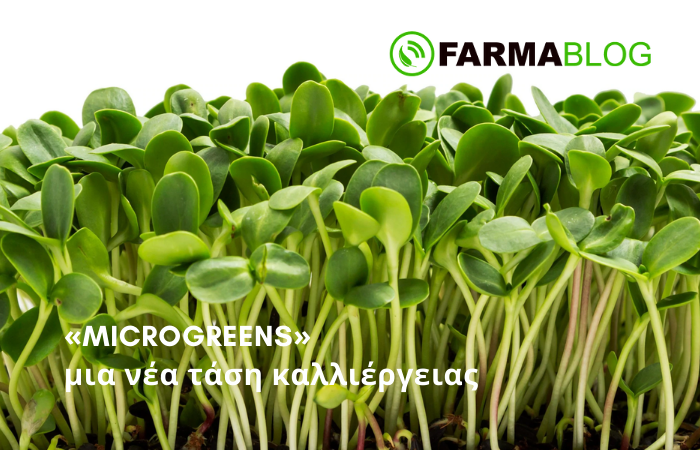 🌱«MICROGREENS» μια νέα τάση καλλιέργειας με πλεονεκτήματα
Διαβάστε περισσότερα στο Εβδομαδιαίο #Newsletter της #Farmacon
mailchi.mp/031d9129e710/g…