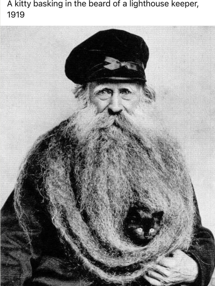 NYR🔞 (NYR_NSFW) Twitter