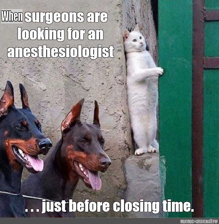 ESAICTraineeN's tweet photo. Happy Friday everyone! 😁
#funny #Friday #AnaesthesiaHumour #AnaesthesiaTrainees https://t.co/02uaDff50C