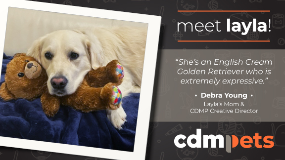 cdmprinceton's tweet photo. Welcome to our new social series, CDMPets! Every week, we will feature another one of our furry (or feathery) coworkers. Meet Layla and her Teddy! Thanks Debra Young for sharing your pet! Join us next friday for the next #CDMPetoftheweek #belifechanging #goodvibesfridays https://t.co/ihGZ9seSOM
