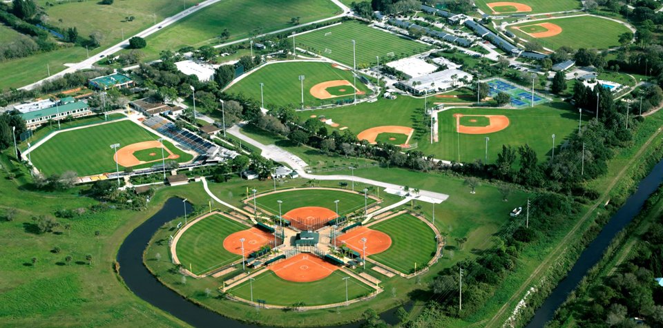 AAU Baseball tweet media