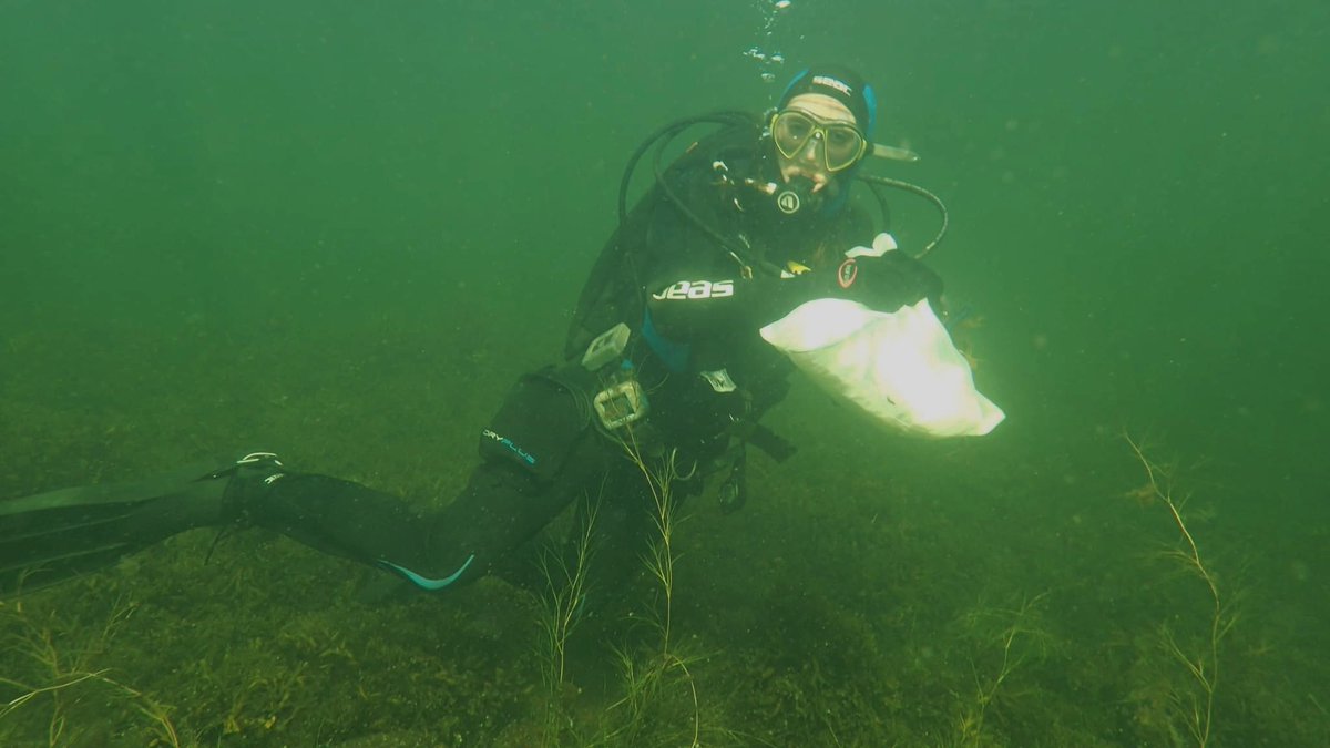 Happy #WomenInScience day! I'm a #LUOVA PhD student at @helsinkiuni and @Tvarminne studying the biotic associations between marine macrophytes and animals through ecological network analysis. 

#WomenInScienceHelsinki
#WeAreHelsinkiUni