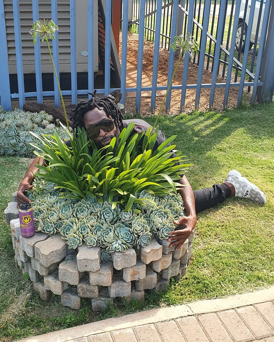djsbu's tweet photo. #hugetree
Brand new @mofaya_official #PassionPhusha
Brand new song #MaruAPula now out exclusively on https://t.co/7Lr3PrgCwk free download.
Brand new DJ Sbu enters The Metaverse NFT now available on @opensea 
#hugatree #mofaya #passionphusha #djsbuentersthemetaverse https://t.co/nmaTn24Rgr