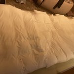 梨沙の食べたもの記録のツイート画像