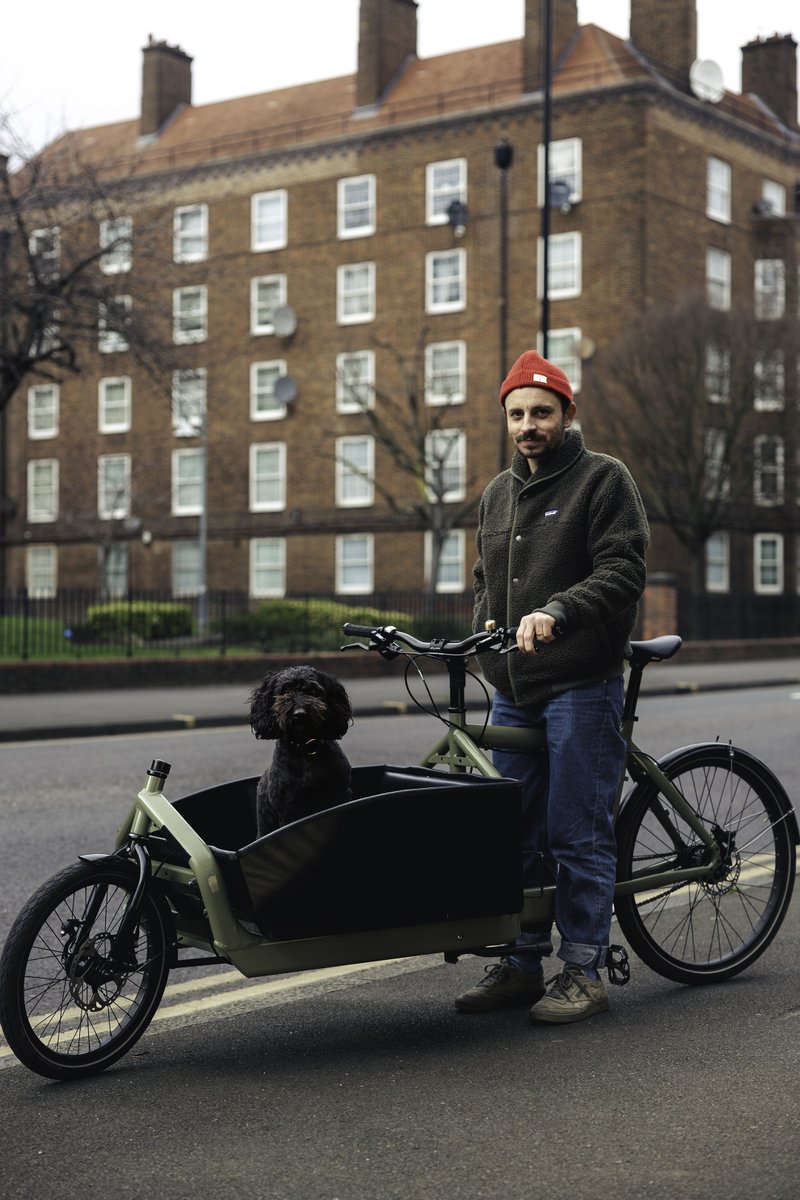 dogsbybike tweet media